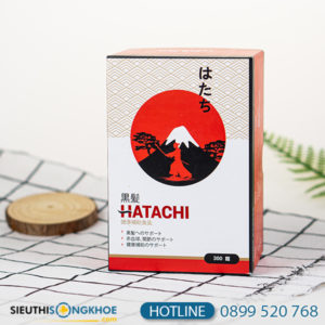 hatachi 1