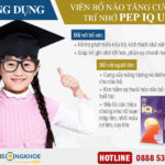 Viên Bổ Não Tăng Cường Trí Nhớ Pep IQ Up - Hỗ Trợ Chăm Sóc Não Bộ Hiệu Quả
