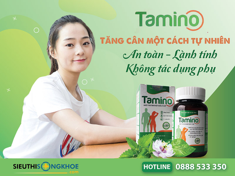 vien tang can tamino