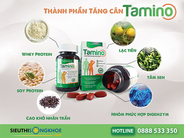 vien tang can tamino