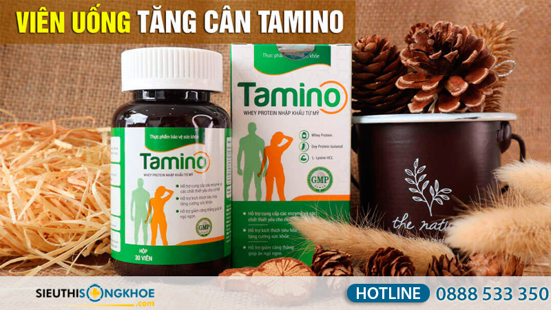 vien tang can tamino