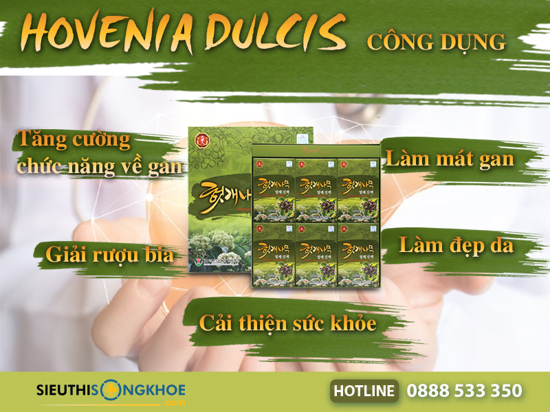 công dụng hovenia dulcis thunberg