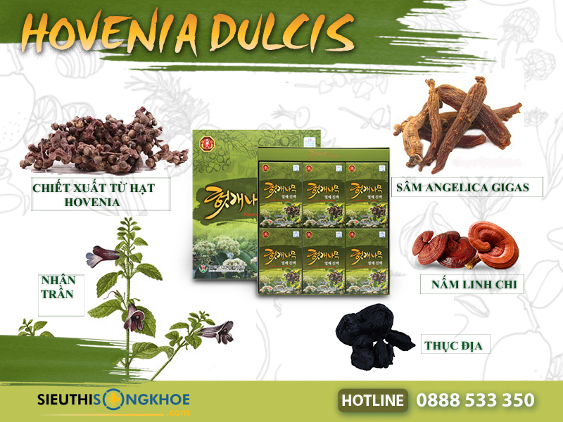 thành phần cong dung hovenia dulcis thunberg