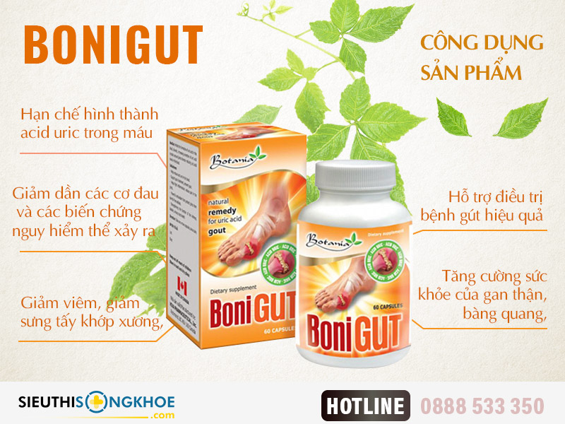 công dụng bonigut