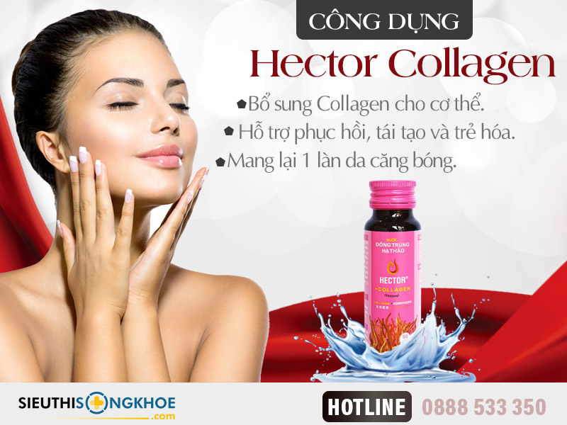 công dụng đông trùng hạ thảo hector collagen