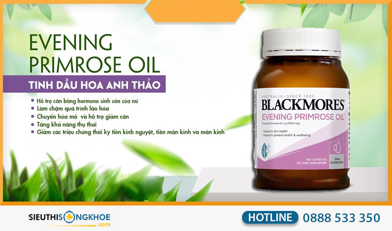 công dụng tinh dầu hoa anh thảo blackmores
