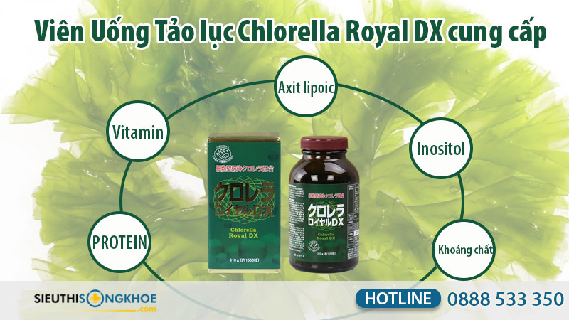 tao-luc-chlorella-royal-dx-2