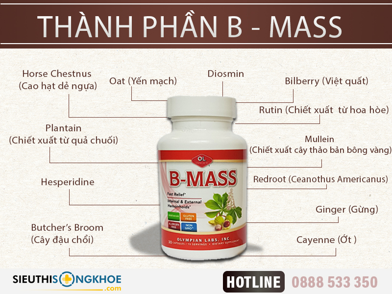 thanh-phan-b-mass