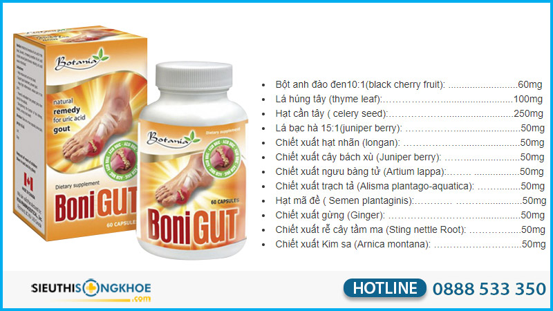 boni gut co tot khong