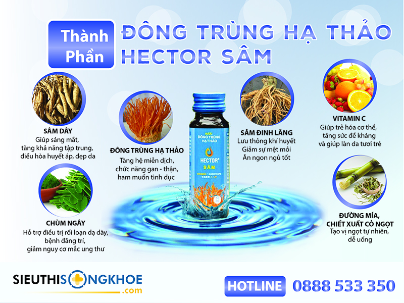 thanh-phan-nuoc-dong-trung-ha-thao-hector-sam