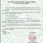 Gintonic Plus - Viên Uống Hỗ Trợ Giảm Đau Đầu, Chống Mệt Mỏi, Cải Thiện Tuần Hoàn Não