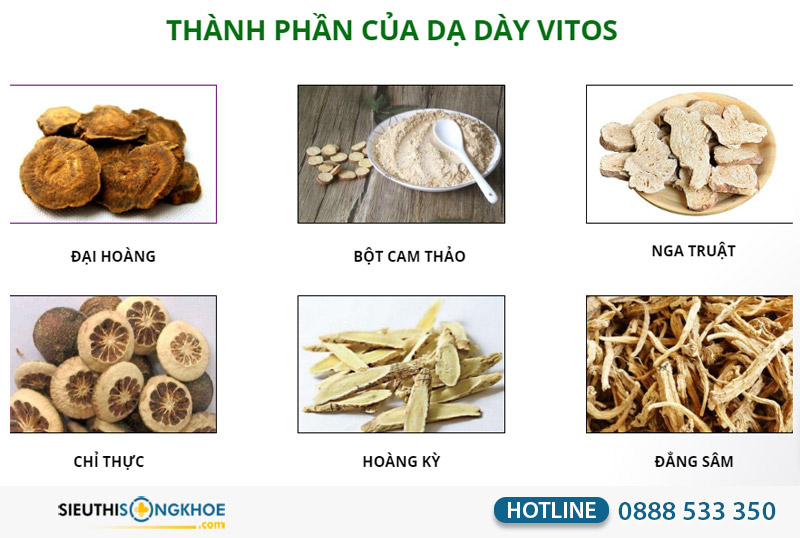 vien da day vitos co tot khong