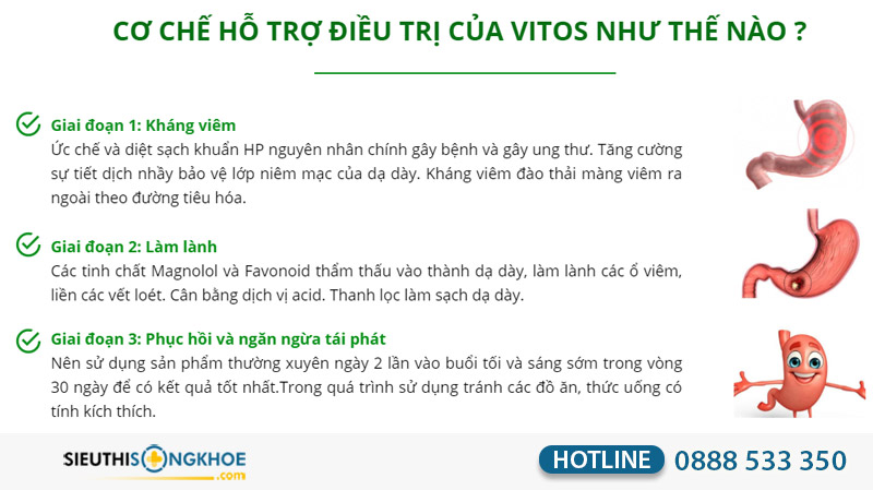 vien da day vitos co tot khong