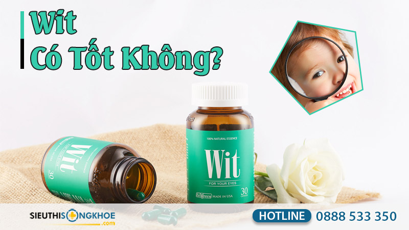 wit có tốt không