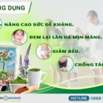25 Green Nutri - Bột Ngũ Cốc Bổ Sung Dưỡng Chất Cho Cơ Thể