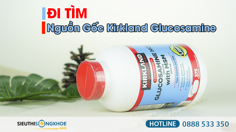 nguồn gốc kirkland glucosamine hcl 1500mg