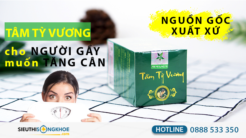 nguồn gốc tâm tỳ vương