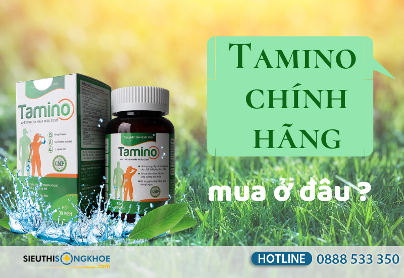 viên uống tăng cân tamino mua ở đâu