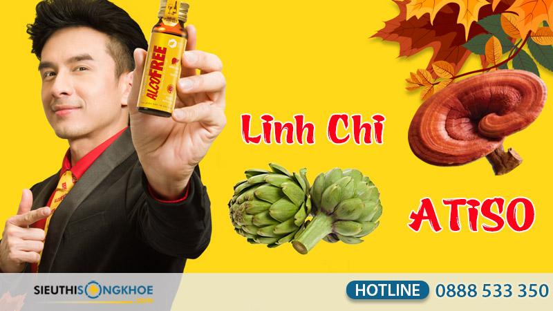 alcofree co tot khong