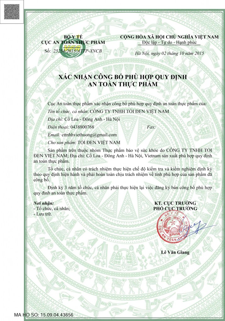 giay chung nhan toi den mot nhanh viet nam