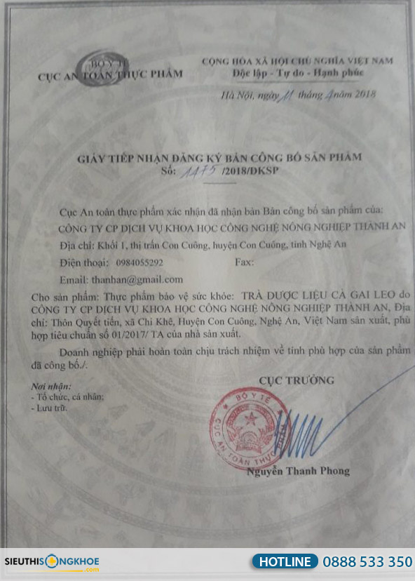 chung nhan tra ca gai leo - duoc lieu pu mat