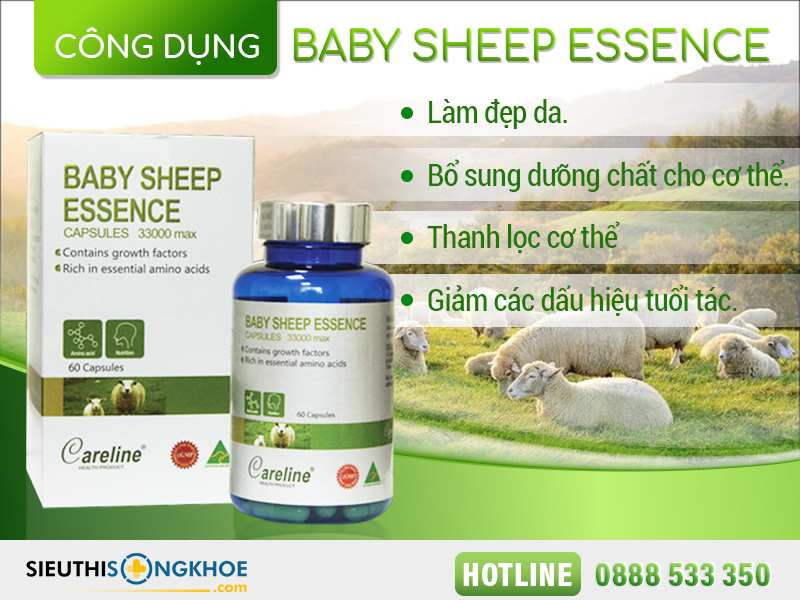 baby sheep essence