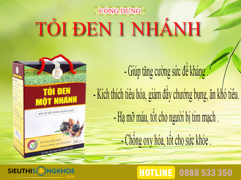cong dung toi den mot nhanh viet nam