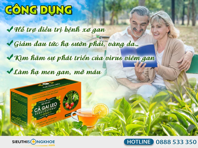 cong dung tra ca gai leo- duoc lieu pu mat 