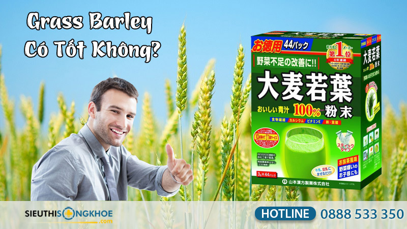 grass barley có tốt không