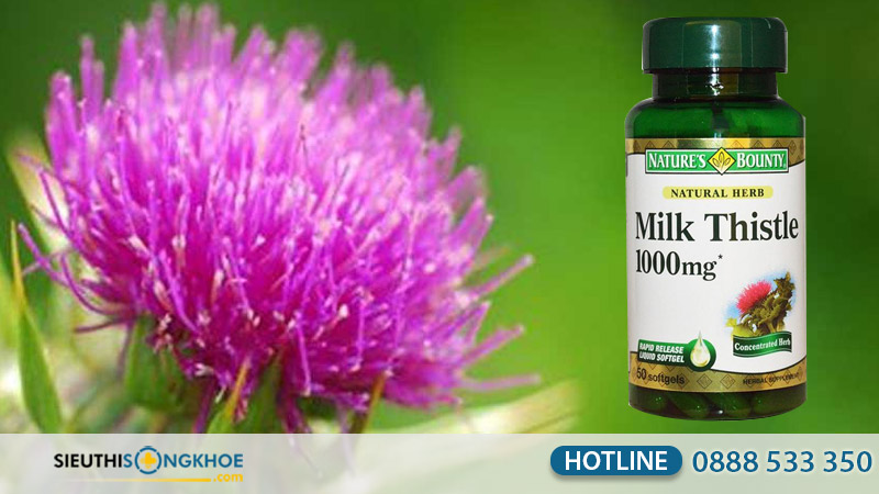 silymarin milk thistle nature's bounty co tot khong