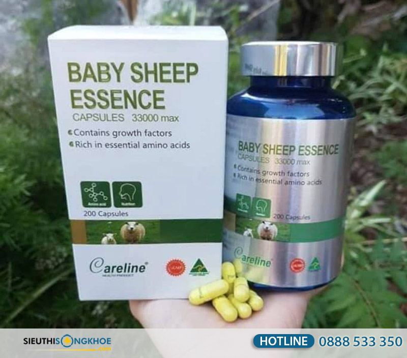 baby sheep essence