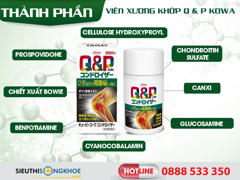 thanh phan vien xuong khop q&p kowa