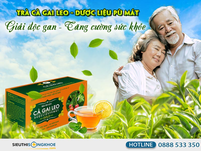tra ca gai leo- duoc lieu pu mat 