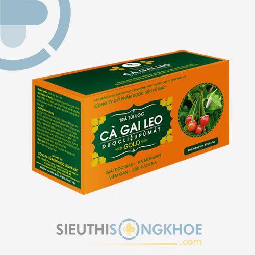 Cà Gai Leo - Dược Liệu Pù Mát - Trà Thảo Dược Giúp Thải Độc Gan, Hạ Mỡ Máu