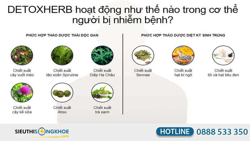 detox herb