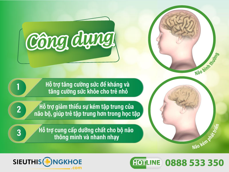 công dụng của g-brain