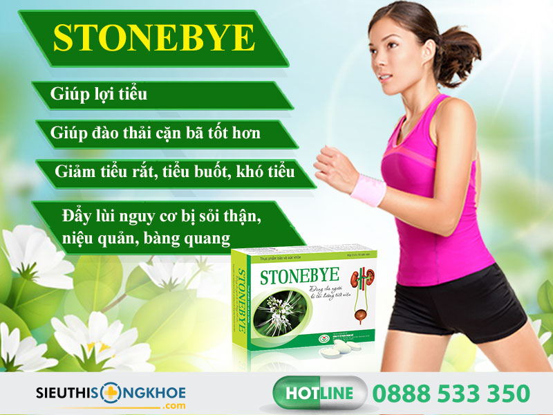 cong dung vien giam soi stonebye