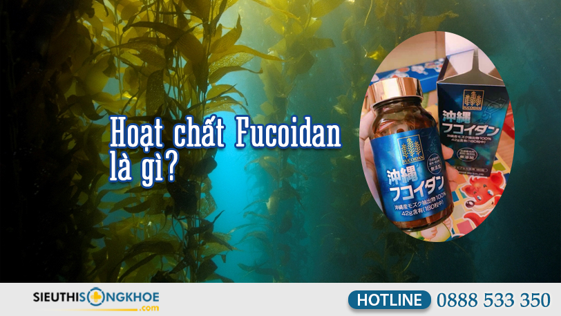 cach dung fucoidan mau xanh 1