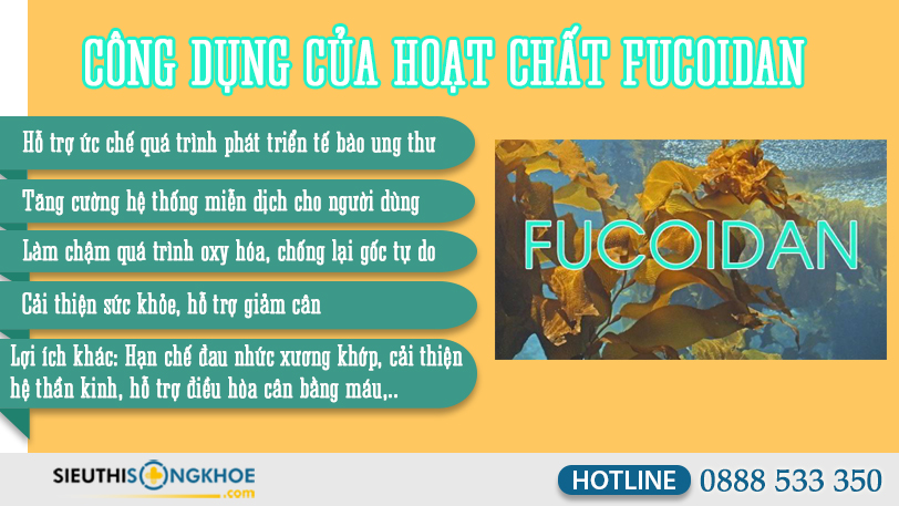 cach dung fucoidan mau xanh 2