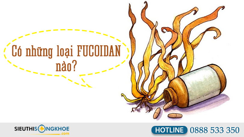 cach dung fucoidan mau xanh 4