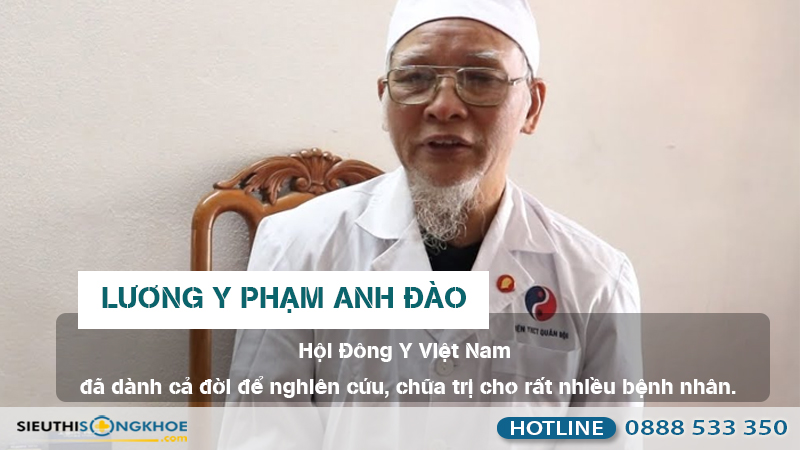 luong y pham anh dao là ai
