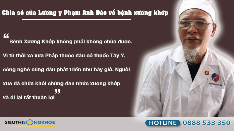 luong y pham anh dao là ai