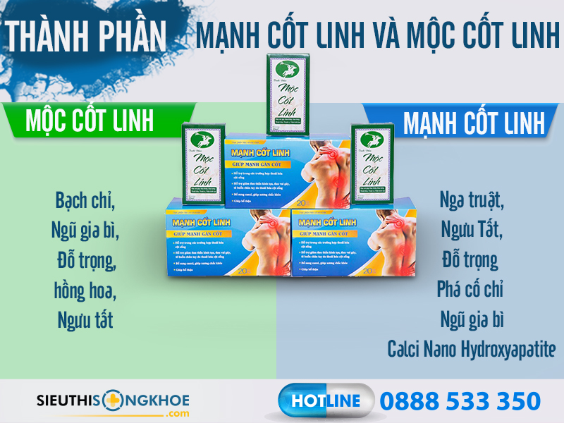thanh phan manh cot linh va moc cot linh