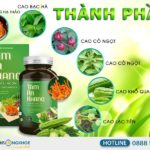 Tâm An Khang - Đánh Bay Lo Lắng Mang Lại Giấc Ngủ Trọn Vẹn