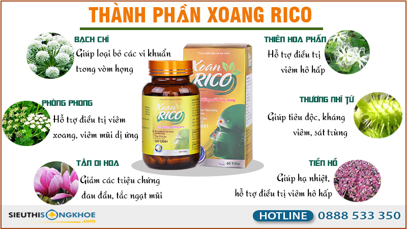 thanh phan cua xoan rico