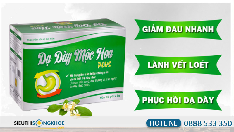 co-che-da-day-moc-hoa-plus
