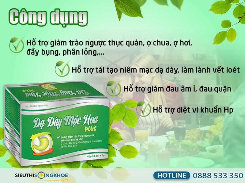 cong dung da day moc hoa plus