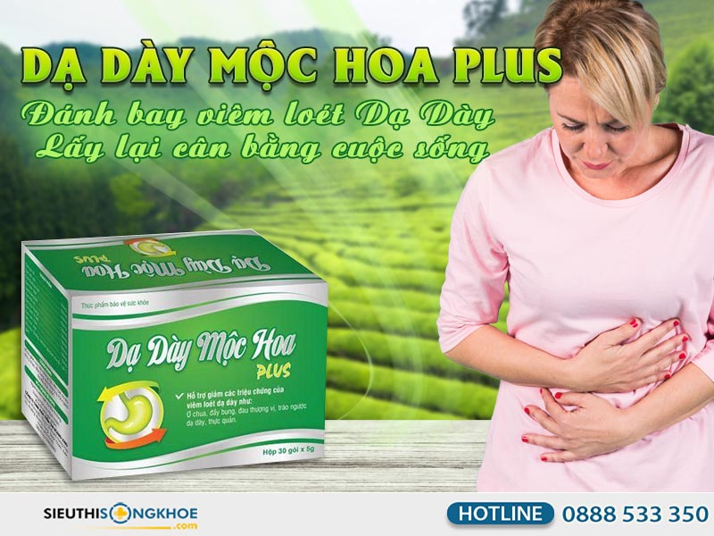 da-day-moc-hoa-plus