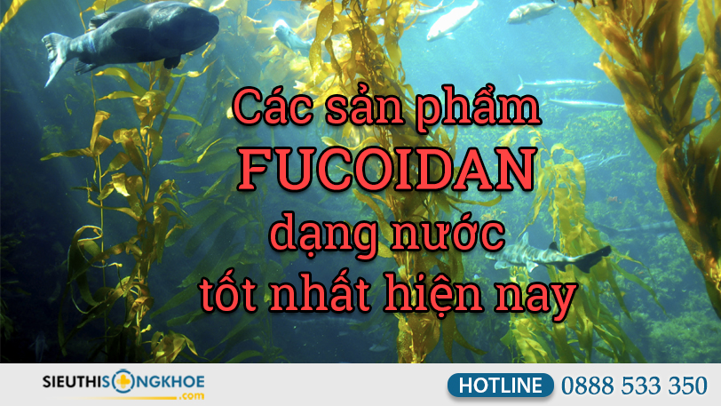 hinh dai dien cac san pham fucoidan dang nuoc tot nhat hien nay