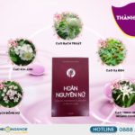 Hoàn Nguyên Nữ - Viên Uống Hỗ Trợ Điều Hòa Kinh Nguyệt